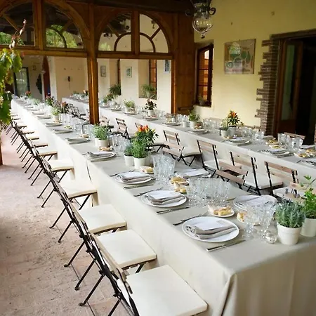 Abete Bianco Villa Tredozio