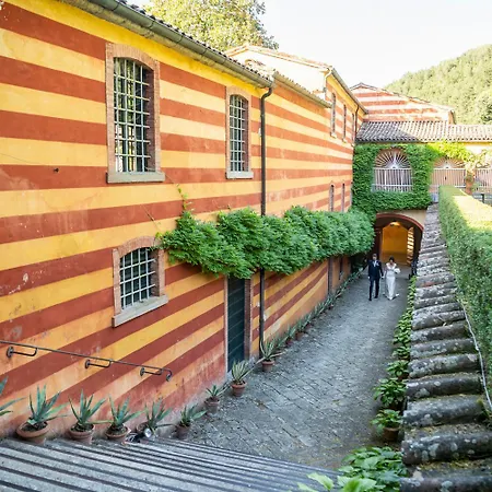 Abete Bianco Villa Tredozio