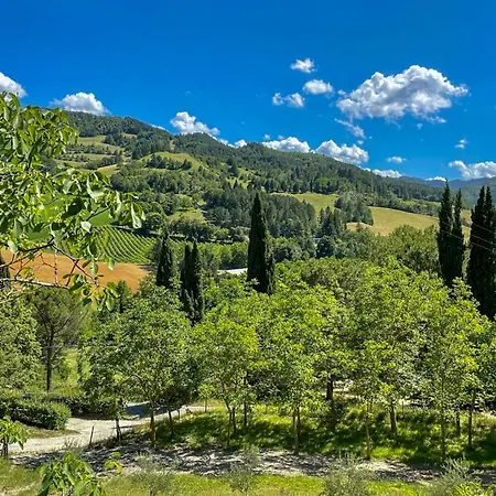 Villa Abete Bianco